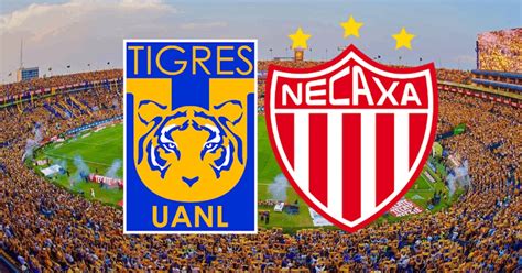 Tigres Vs Necaxa En Vivo D Nde Ver En Tv Online Y Hora Jornada Liga