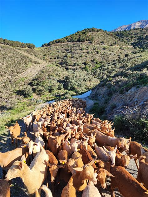 Autorizado el pago de las ayudas de agricultura ecológica agroambiente