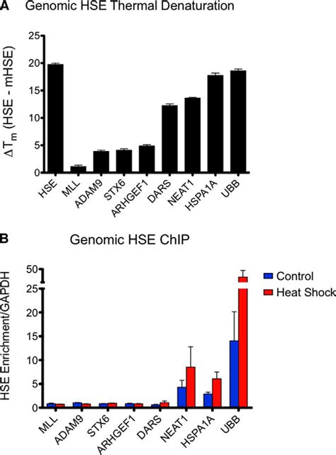 Genomic Heat Shock Element Sequences Drive Cooperative Human Heat Shock Factor 1 Dna Binding And