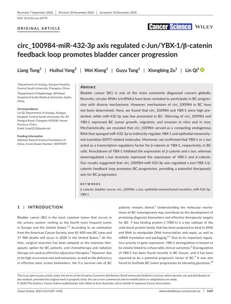 Pdf Circ Mir P Axis Regulated Cjun Ybx Catenin