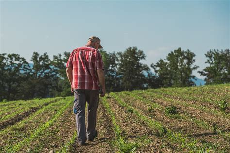 Renforcement De Laccompagnement Des Exploitations Agricoles En