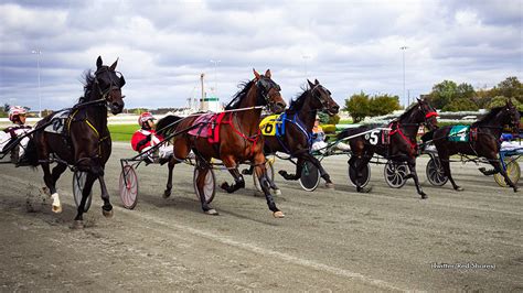 Red Shores Qualifying Dates Announced Standardbred Canada