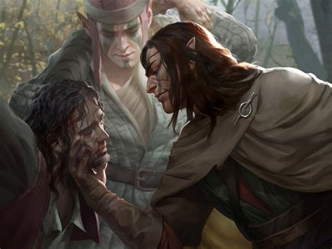 witcher wisdom history  elves