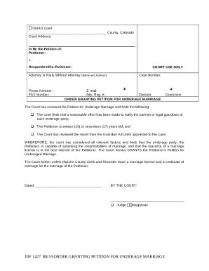 Petition For Declaration Of Invalidity Of Court S Doc Template