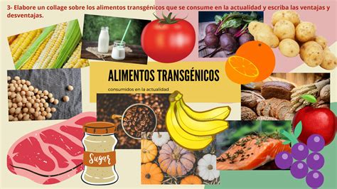 SOLUTION Alimentos Transg Nicos Concepto Ventajas Y Desventajas