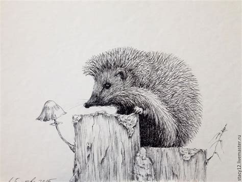 Pencil Art: Hedgehog in 2024 | Dieren tekenen, Realistische tekeningen ...