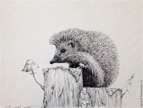 Pencil Art: Hedgehog in 2024 | Dieren tekenen, Realistische tekeningen ...