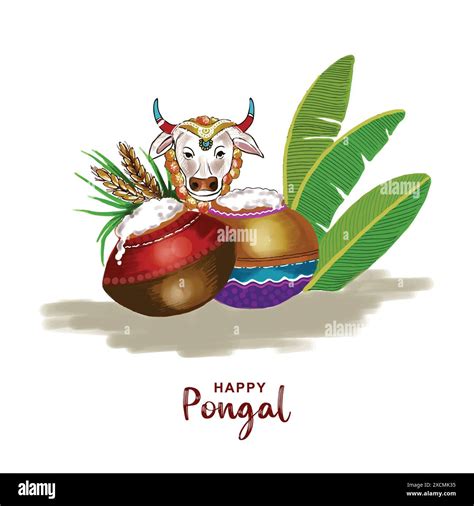 Happy Pongal Holiday Harvest Festival Of Tamil Nadu South India