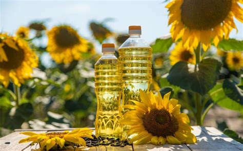 El Aceite De Girasol En La Alimentación Beneficios Y Usos Aceites De