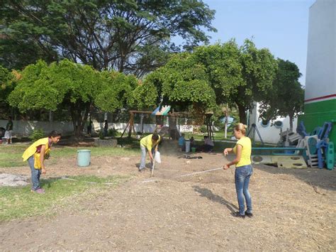 Universidad De Colima