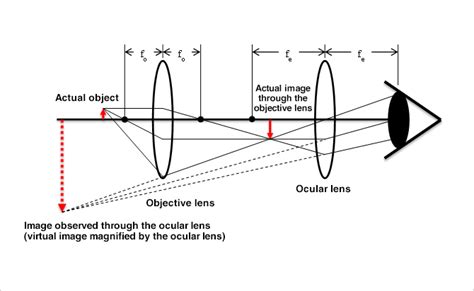 Basic Structure And Principle Of Microscopes Basic Of Microscopes