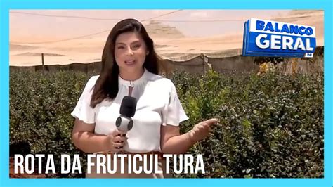 Rota da Fruticultura produção de mirtilo cresce no DF YouTube