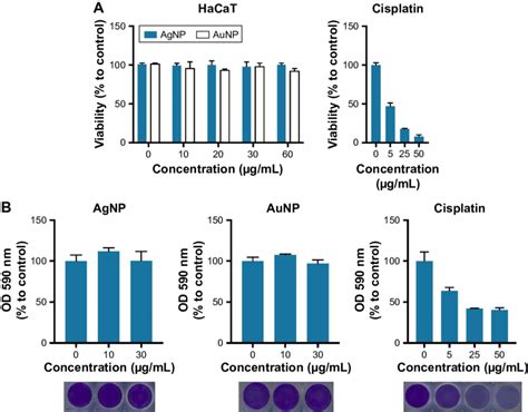 Cytotoxic Effects Of AgNPs And AuNPs On HacaT Human Keratinocyte Cells