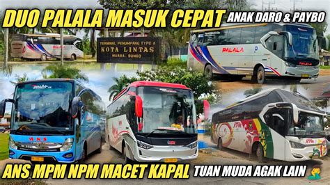 Duo Palala Cepat Naik Kapal Ans Npm Mpm Telat Naik Kapal Tuan Muda