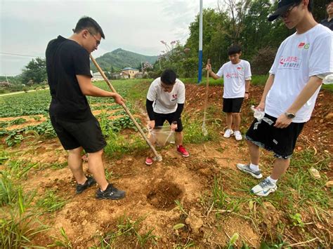 把知识和汗水洒在乡村大地上 —记我校2021年大学生志愿者暑期“三下乡”社会实践活动 安徽农业大学新闻网