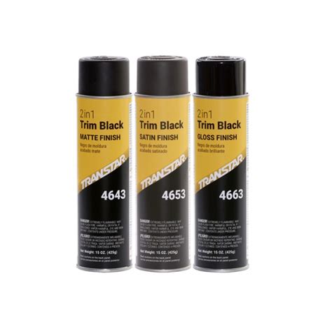 Transtar® 4653 2 In 1 Trim 20 Oz Aerosol Can Satin Black 5 To 10 Min