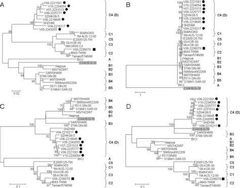 Phylogenetic Trees Of 5 UTR P1 P2 And P3 Regions Of EV71 And CVA16