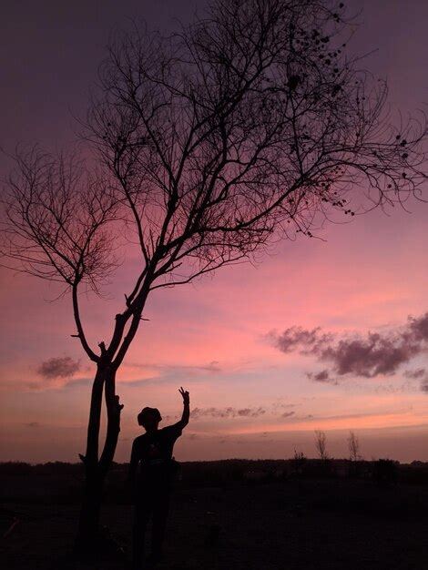 Hombre Silueta De Pie Junto A Un Rbol Desnudo Contra El Cielo Durante