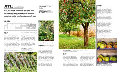 How To Grow Apples Dk Uk