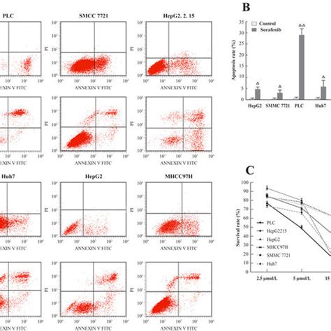 A Sorafenib Induced Hcc Cells Apoptosis B Cell Apoptosis Determined