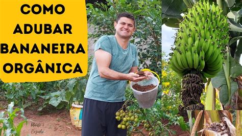 Como ADUBAR a BANANEIRA corretamente de forma ORGÂNICA e CUIDAR dela