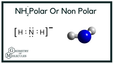 Ccl2o Lewis Structure Polar Or Nonpolar - Draw Easy