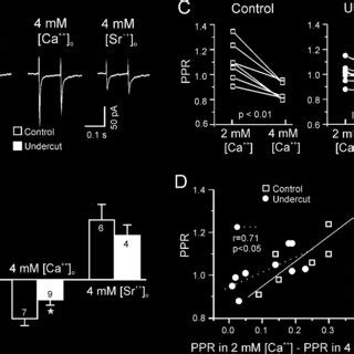 Paired Pulse Ratio PPR Recorded In Neurons Of Control And Undercut