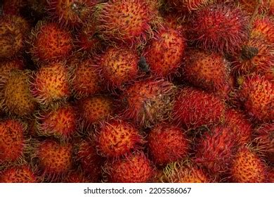 Rambutan Binjai Rambutan Fruit That Grows Stock Photo 2205586067 ...