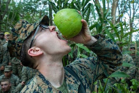 DVIDS Images Cobra Gold 19 31st MEU Marines Participate In Jungle