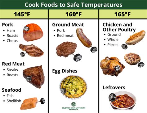 What Are The Proper Temperatures For Cooking Meat At Brandy Cole Blog