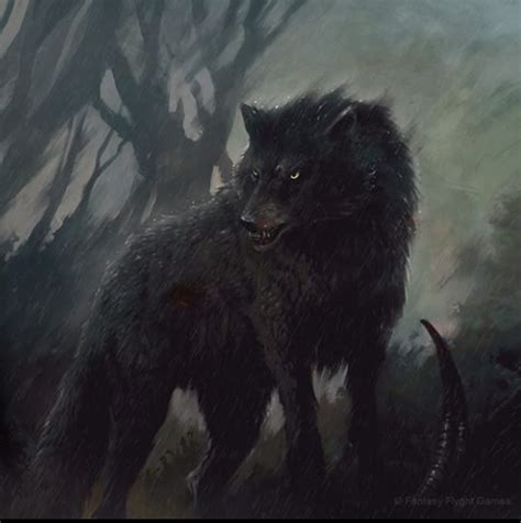 Direwolf The Legendarium Fandom