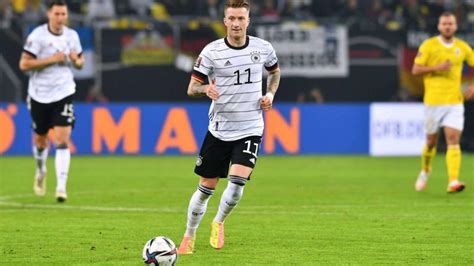 Wm Quoten Wer Wird Weltmeister