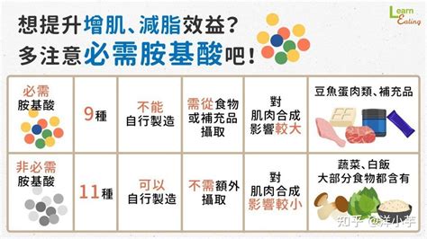 【第3期】越吃越瘦的6种高蛋白食物，轻松打造易瘦体质！ 知乎