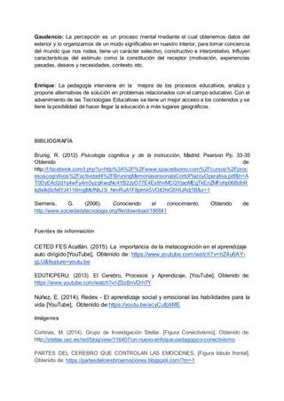 ACTIVIDAD 10 ESTIMULACION COGNITIVA PDF Descarga Gratuita