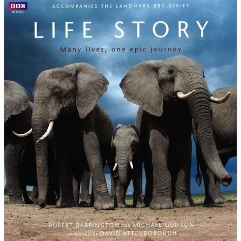 Bbw Life Story Hb Isbn Shopee Malaysia