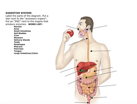 BIO Unit 1 Diagram Quizlet