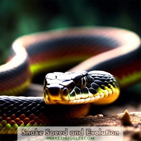 Can You Outrun a Snake? The Surprising Truth About Snake Speed