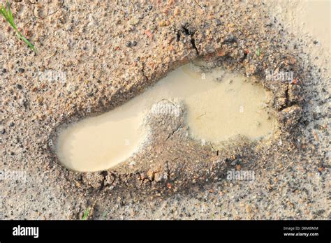 Footprint Mud Hi Res Stock Photography And Images Alamy