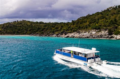 The Best National Park Snorkeling In St Thomas And St John