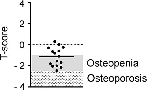 Jci Insight Osteoblastic Heparan Sulfate Regulates Osteoprotegerin