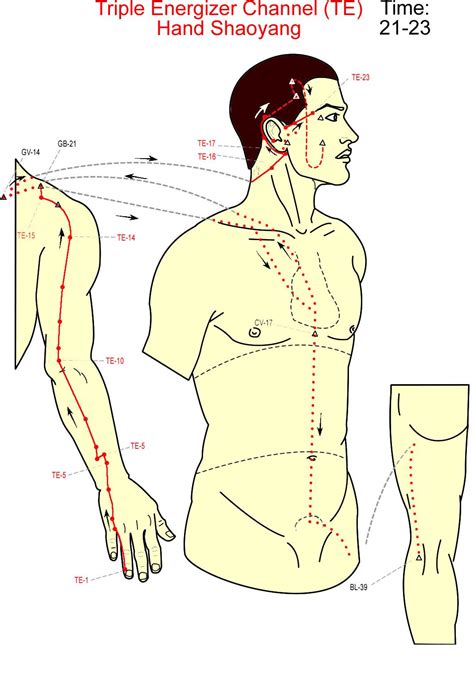 Triple Burner San Jiao Channel Acupuncture Acupressure Treatment