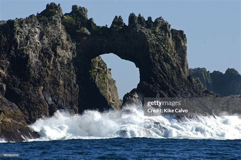 Farallon Islands.Great white shark diving paradise.San Francisco,... News Photo - Getty Images