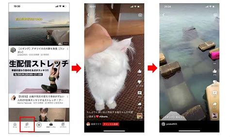 Youtubeショート動画とは？特徴や動画投稿の方法を徹底解説 【しむぐらし】格安simでちょっといい暮らし Biglobeモバイル