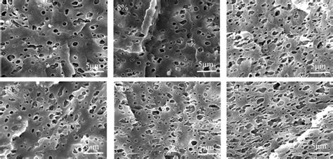 Sem Images Of The Fracture Surface For Pp Poe Blends With