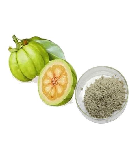 Garcinia Cambogia Extract Powder 25 Kg At 525 Kg In Sas Nagar ID