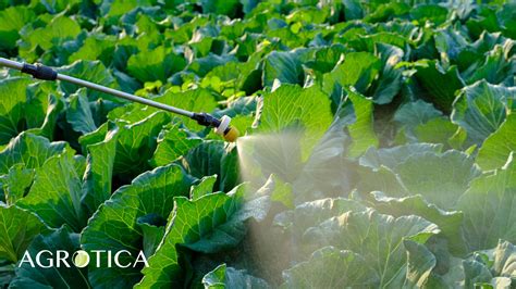 Is Water Reducing your Pesticide Performance? - Agrotica