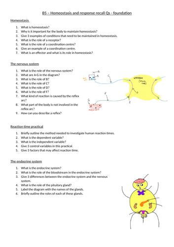 Aqa Biology Gcse B5 Homeostasis Recall Qs Teaching Resources