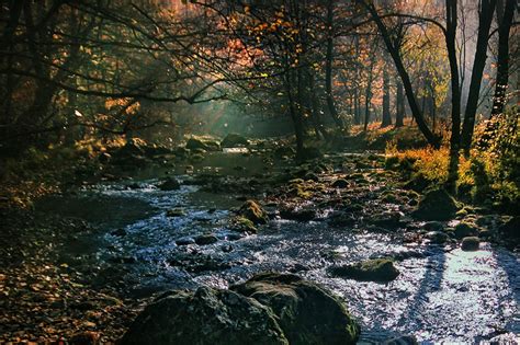 Reka Gradac