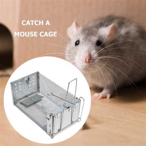 Pi Ge Nuisible Cage Rats Et Souris Pour Animaux De Compagnie Pi Ge