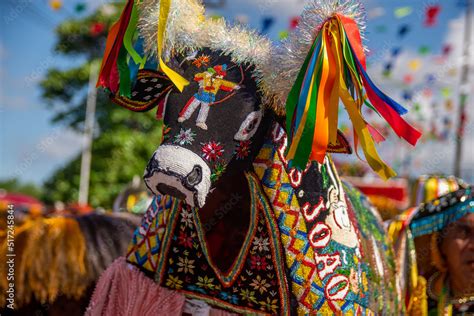 Festa do Bumba meu Boi em São Luis do Maranhão nordeste Brasileiro